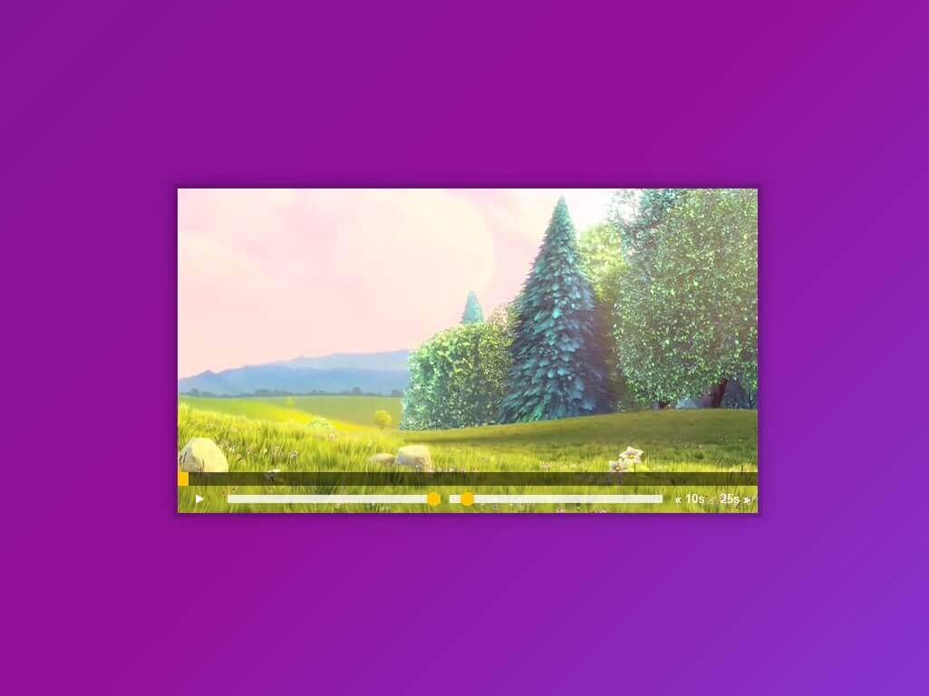 Custom Video Player