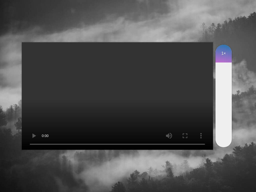 Video Speed Controller