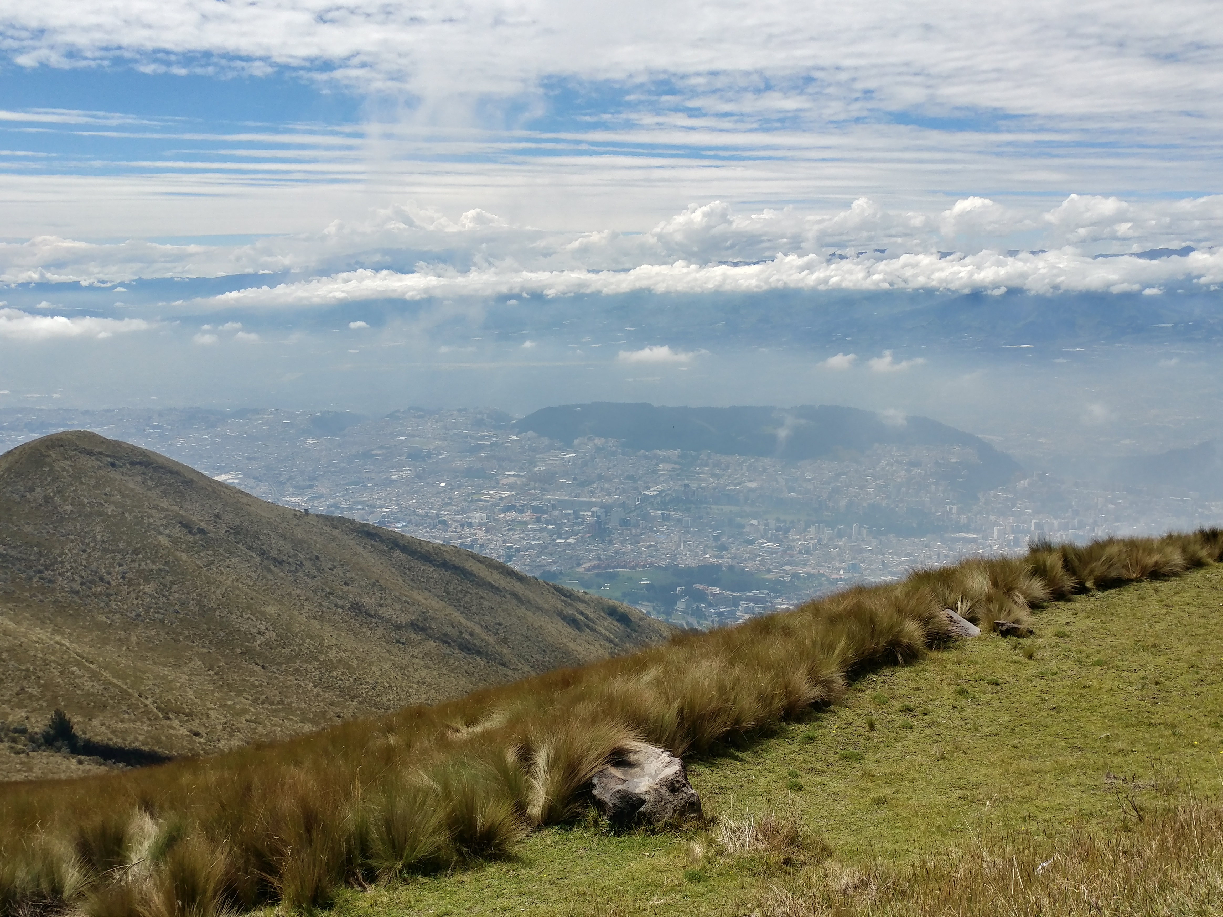 View of the city